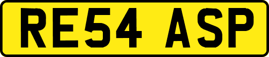 RE54ASP