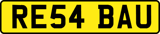 RE54BAU