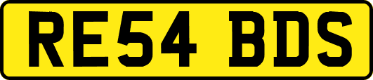 RE54BDS