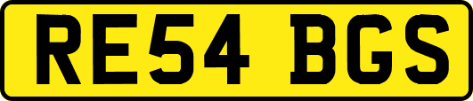 RE54BGS