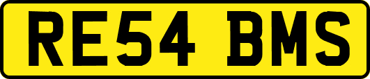 RE54BMS