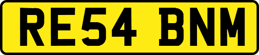 RE54BNM