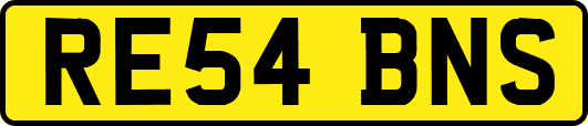 RE54BNS