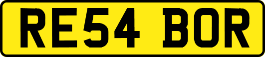 RE54BOR