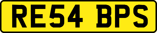 RE54BPS