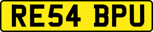 RE54BPU