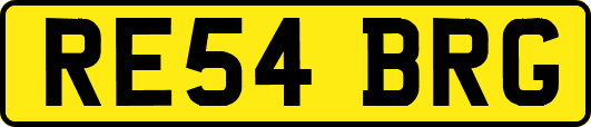 RE54BRG