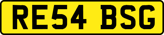 RE54BSG