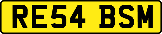 RE54BSM