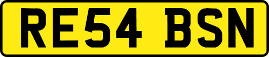 RE54BSN