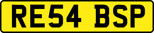 RE54BSP