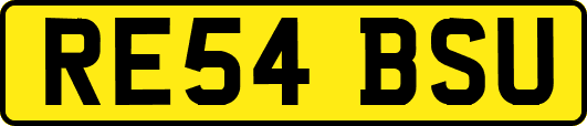 RE54BSU