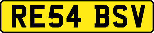 RE54BSV