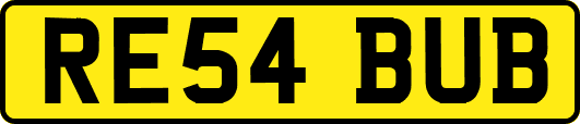RE54BUB