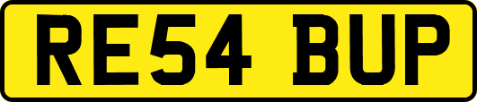 RE54BUP