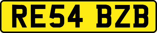 RE54BZB