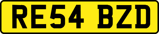 RE54BZD