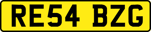 RE54BZG