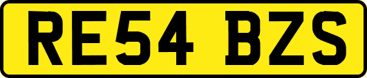 RE54BZS