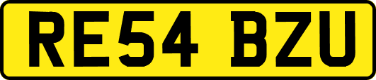 RE54BZU