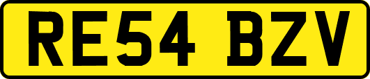 RE54BZV