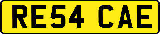 RE54CAE