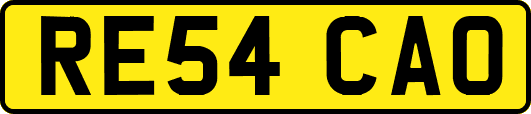 RE54CAO