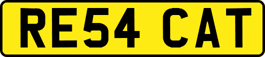 RE54CAT