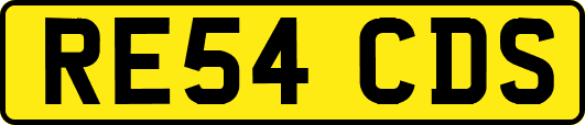 RE54CDS