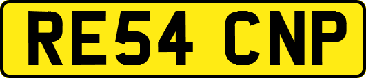 RE54CNP