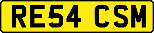 RE54CSM