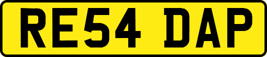 RE54DAP