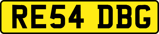 RE54DBG