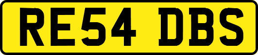 RE54DBS