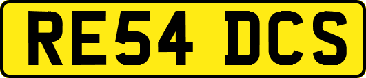 RE54DCS