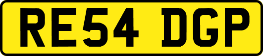 RE54DGP