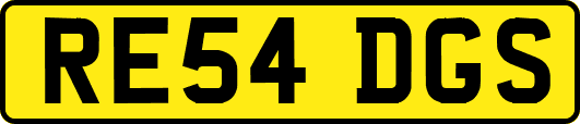 RE54DGS
