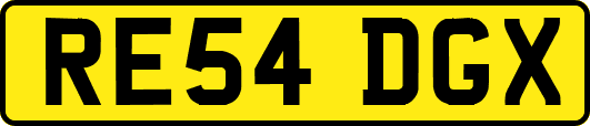 RE54DGX