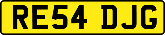 RE54DJG