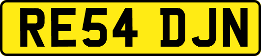 RE54DJN