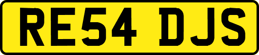 RE54DJS