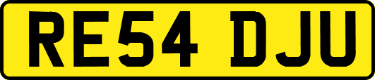 RE54DJU