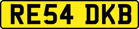 RE54DKB