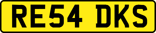 RE54DKS