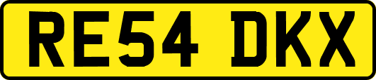 RE54DKX