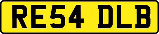 RE54DLB
