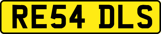 RE54DLS