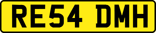 RE54DMH