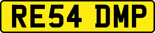 RE54DMP