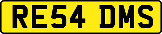 RE54DMS